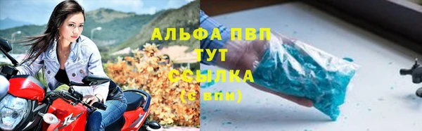 apvp Алзамай