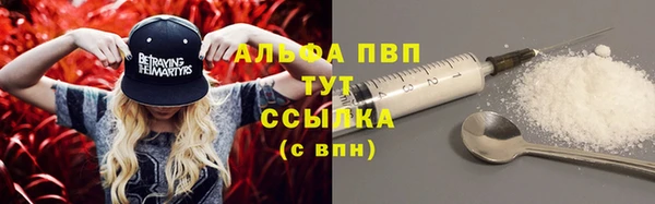 apvp Алзамай